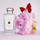 싱그러운 여름 플로리스트(5월) | 작약이 피어나는 그 순간, 조말론 피오니 앤 블러쉬 스웨이드 찐후기