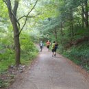 서리풀길 9 이미지