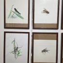 최북미술관 2층 이미지