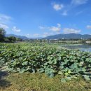 남매공원(들머리공원) 이미지