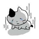OK튜나 이미지