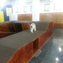 애견매니아 이미지