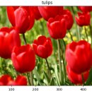 Data Augmentation(데이터 증강)