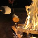 핀란드캠핑성 이미지