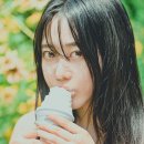 스타일펫츠 이미지