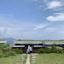 거제펜션다온 | 거제 지평집 ㄹ방 솔직후기 - 노천 히노끼탕 감성 숙소