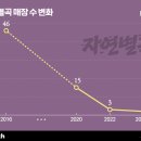 에스티인터네셔널주 이미지