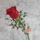 라떼는말이야 이미지