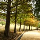 심곡별장 이미지