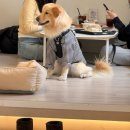 타타스베이글 평택용이점 이미지