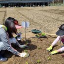 소통농장2 이미지