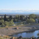 모종야채 티스토리