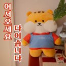 돈파네 | 다이소에 이런 것도 파네 추천템 BEST 5