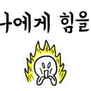 부산얼크니샤브칼국수