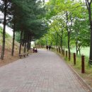 호수공원_원포광장 이미지