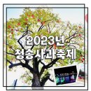 경상북도 청송군청 | 2023년 청송사과축제 대단한 가수 섭외력 청송군청 대단해 주차정보(feat. 청송맛집추천)