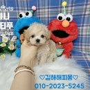 김해해피몽