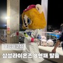 포항야구장 주차, 야구장 안 매점 메뉴, B5 J열 시야 후기 (감격의 8연패 탈출)