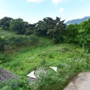 경북 청도군 매전면, 밭 등으로 사용할 수 있는 산 (971평) 이미지