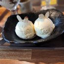 한백체육관 이미지