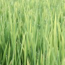 함평축협 | 함평천지몰 추석맞이 할인 판매