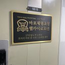 공덕역 체형교정 어깨 비대칭 관리 마포체형교정 웰카이로모션