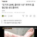 흡혈곤충 샌드플라이 이미지