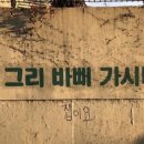 버드나무아래서 이미지