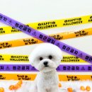 뽀프퍼피 이미지