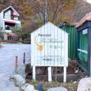 더 풀빌라(the poolvilla) | 가평독채풀빌라 더웰니스풀빌라&amp;스파 후기