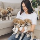 부산강아지분양 브라비펫 네이버블로그