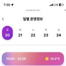 대나무랜드 사라 피부샵 | 4월 에버랜드 튤립축제🌷 오픈런 후기[주차+준비물+이용팁]