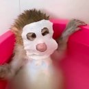 다락 가든 | 합정다락 | 할로윈 스탠딩 파티 | 251031