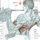 우리동네 휘트니스 이미지