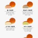 월영교달빵