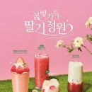 꽃카롱