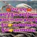 대게1번지 이미지