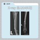 조양래 동물의료센터 이미지