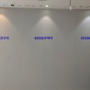 은빛전기조명