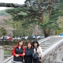 울산~양산 통도사~부산해운대 여행(2010.4.21~4.22) 이미지