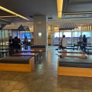 롯데시네마광주광산관매점 | 영화 좀비딸 정보 롯데시네마 광주광산 리클라이너 후기