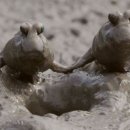 용두산장 이미지