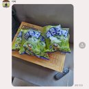 미륵산농장 | 2025.06