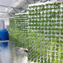 재식농장 이미지