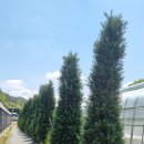 생명농장 이미지