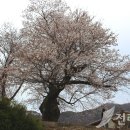 덕치경로당 이미지