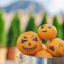 어나더 제주 이미지