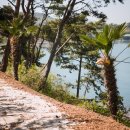 시아도 펜션 이미지