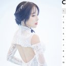 지니어스 이미지