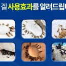 개미원룸관리